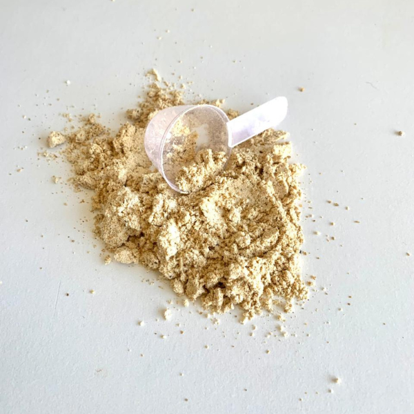 Dog Protein Filhote – 900g 